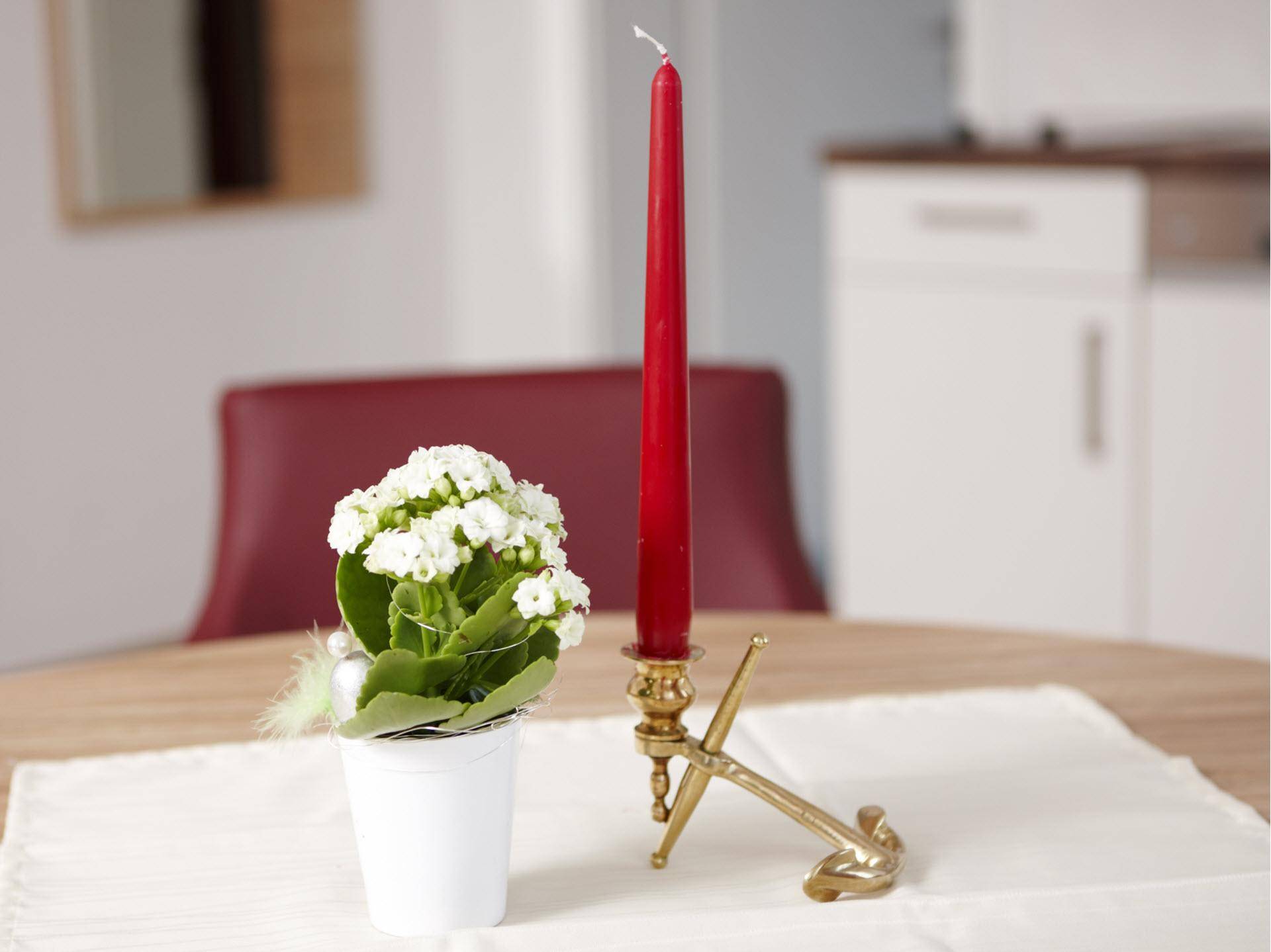 MG 2298schlick Anker (2018 11 19 18 36 52 UTC)